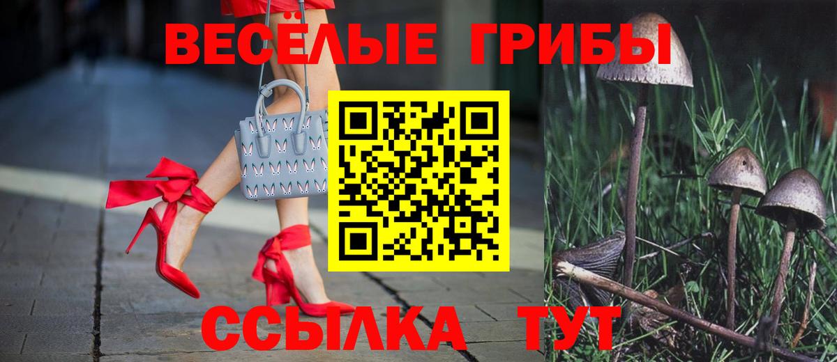 Псилоцибиновые грибы прущие грибы  Вход с VPN  Жигулёвск  Галлюциногенные грибы Cubensis 